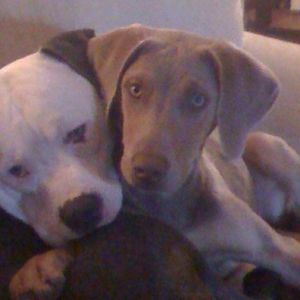 Meet your Posher, Liz